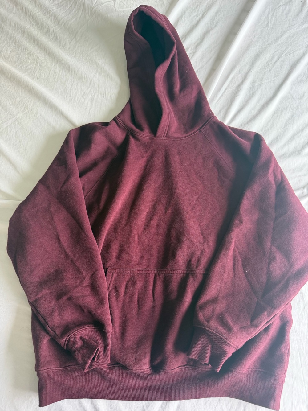 aritzia hoodie
